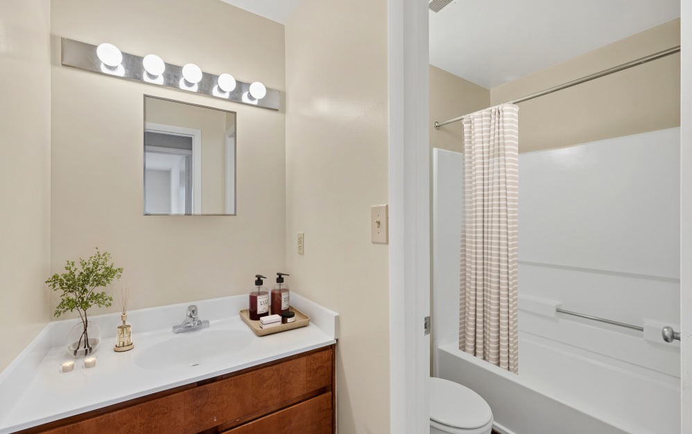 4x2 - Silver - 4 bedroom floorplan layout with 2 bathrooms and 1314 square feet (Bathroom 2)