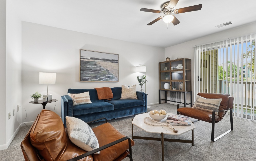 2x1 - Gold - 2 bedroom floorplan layout with 1 bathroom and 896 square feet (Living Room)