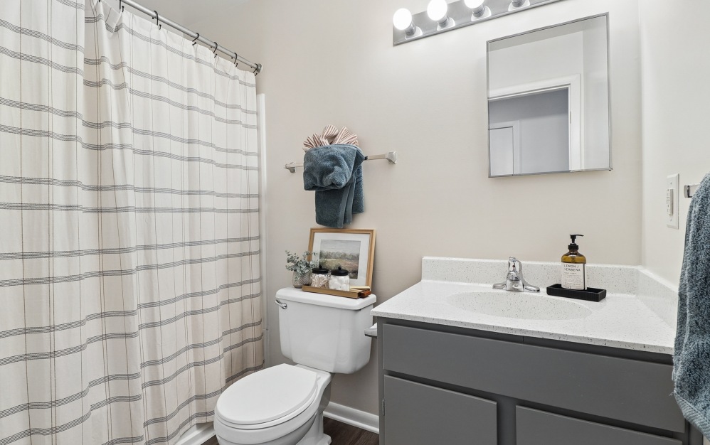 4x2 - Gold - 4 bedroom floorplan layout with 2 bathrooms and 1314 square feet (Bathroom 2)